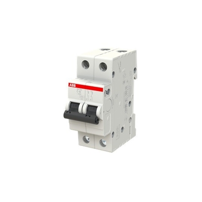 1 NP Disjoncteur miniature SH201-C63NA BCD courbe C 63 A Nombre de pôles 1